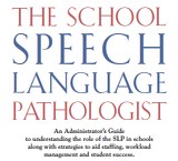 Speech Language consultants and school contracts